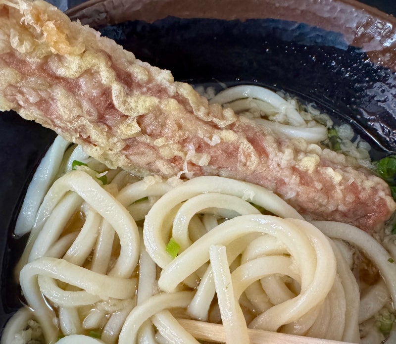 Takamatsu — Udon Tour