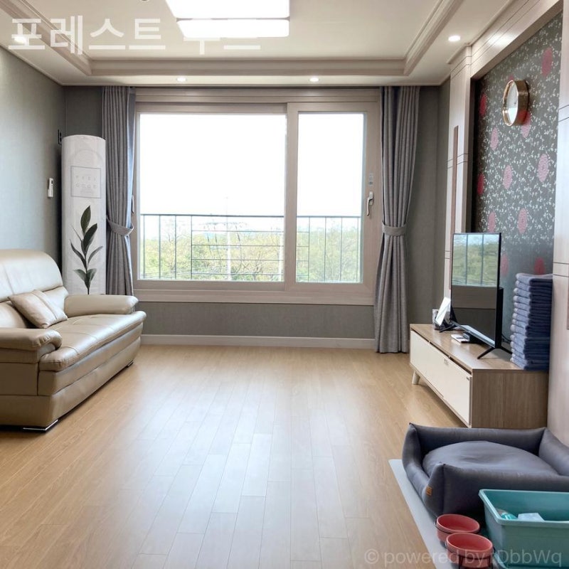 사진 3