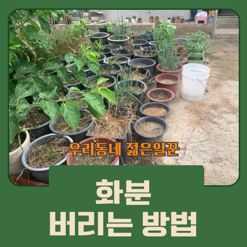 깨진 화분부터 대형 화분까지 버리는 방법 총정리