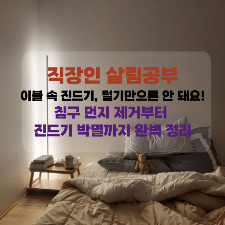  [직장맘 살림] 이불 속 진드기, 털기만으론 안 돼요! 침구 먼지 제거부터 진드기 박멸까지 완벽 정리