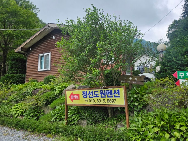 사진 2