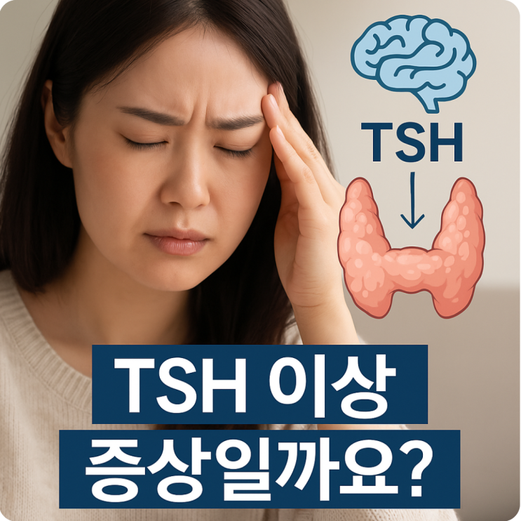  TSH 수치로 알아보는 갑상선 건강