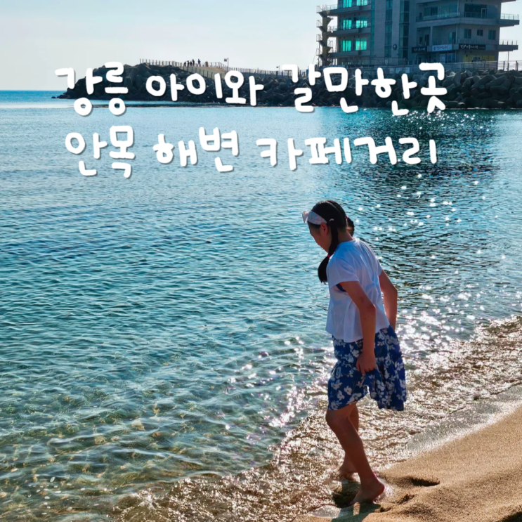  강릉 아이와 가볼만한곳 카페 많고 풍경 예쁜 안목해변커피거리