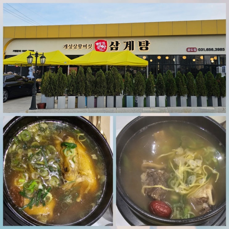  안성 삼계탕 맛집 개성상황버섯삼계탕 공도점 내돈내산 후기 - 초복·중복·말복 복날 몸보신