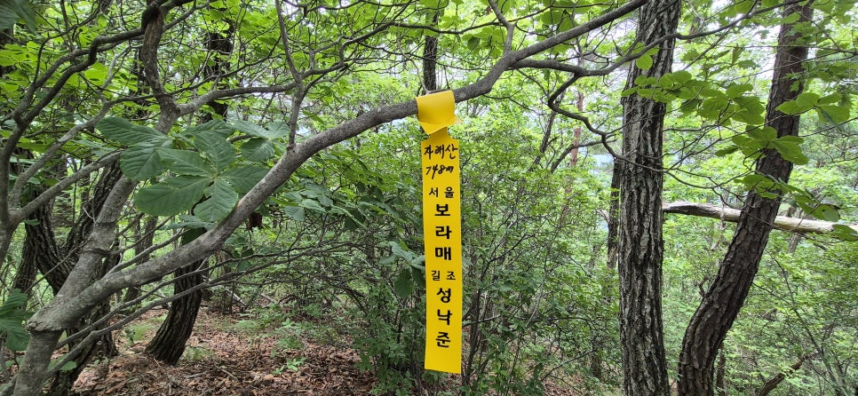 신병산 사진 6