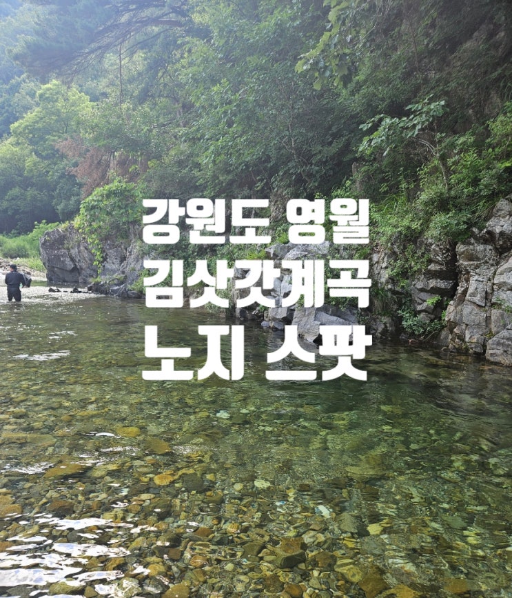  강원도 영월 | 나만알고 싶은 김삿갓계곡 주차 노지 물놀이 스팟 포인트 후기