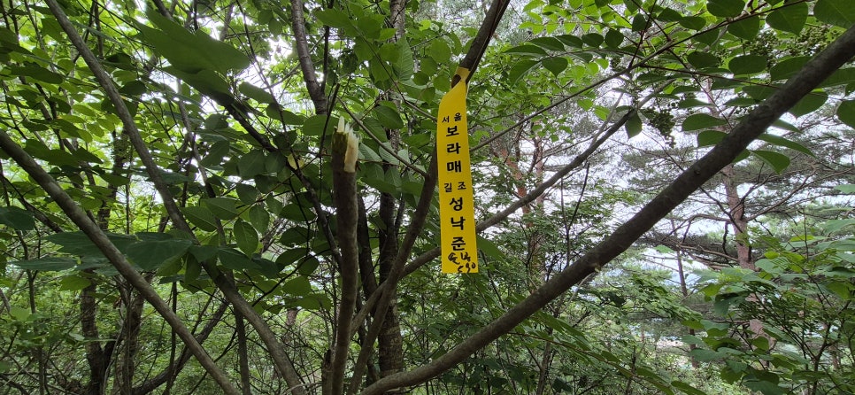신병산 사진 5