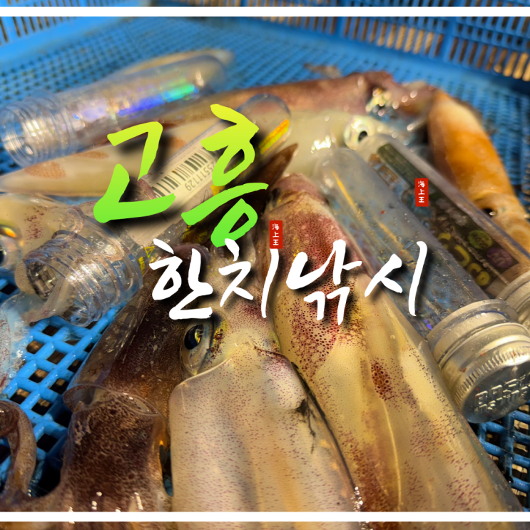  고흥한치낚시 가성비 좋은 티벤 이카메탈 사용 조행기