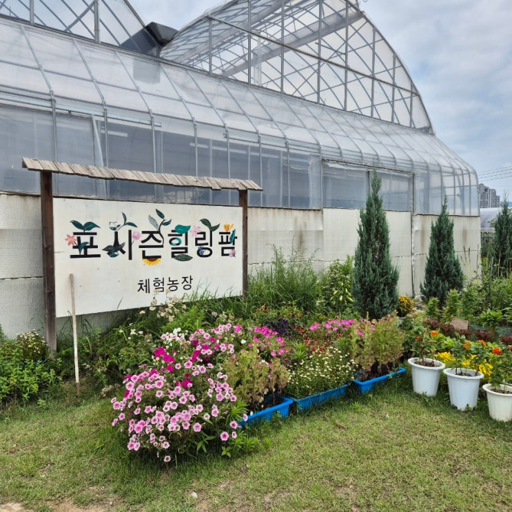  수원 아이와 가기 좋은 곳 [포시즌 힐링팜 체험농장] 솔직리뷰 1탄
