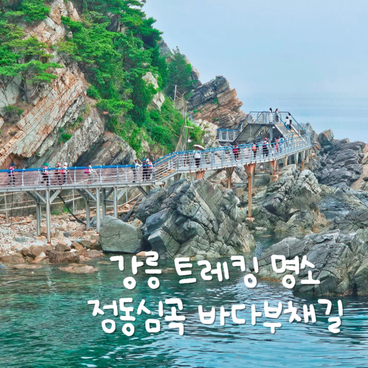  강릉 가볼만한곳 정동심곡바다부채길 심곡항~정동진 트레킹코스