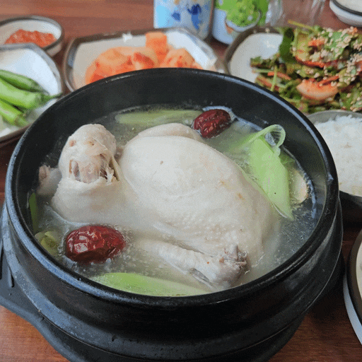 전주복날맛집 '전원집' 전주 몸보신 음식 삼계탕 추천