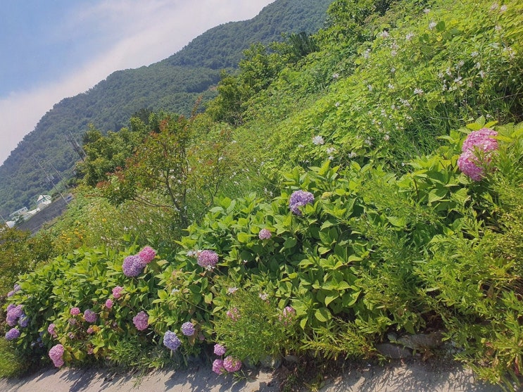  굿타임리조 여수펜션, 아늑한 숙소에서 편안한 힐링을 느껴보세요