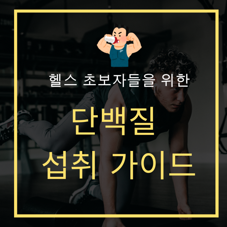  헬스초보 헬린이를 위한 단백질 섭취 꿀팁 QnA포함