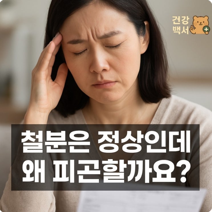  페리틴(Ferritin) 수치에 따른 질환과 증상 및 원인