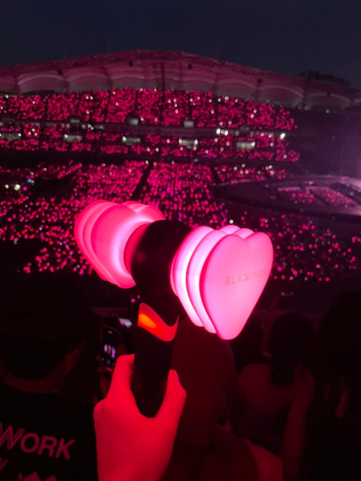 [BLACKPINK] <b>블랙핑크 콘서트</b> WORLD TOUR DEADLINE 고양 (W5... 