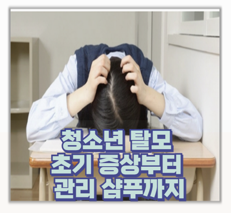  청소년 탈모 저도 겪었습니다 초기 증상부터 샴푸 및 관리법까지