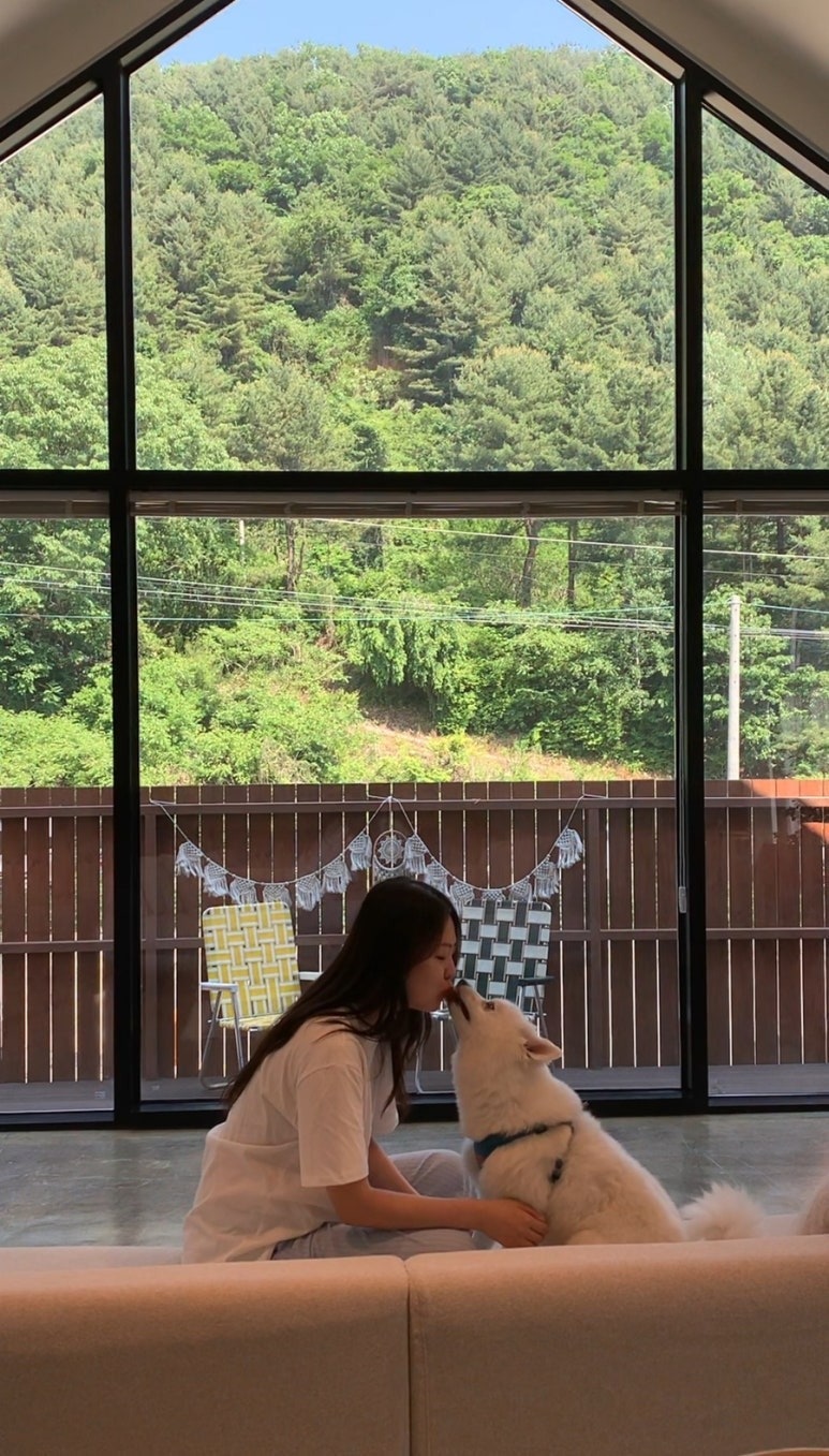 우드잇