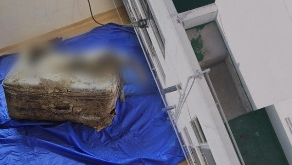  '그것이 알고싶다(그알)' 거제 시멘트 암매장 살인사건, 동거남 정체