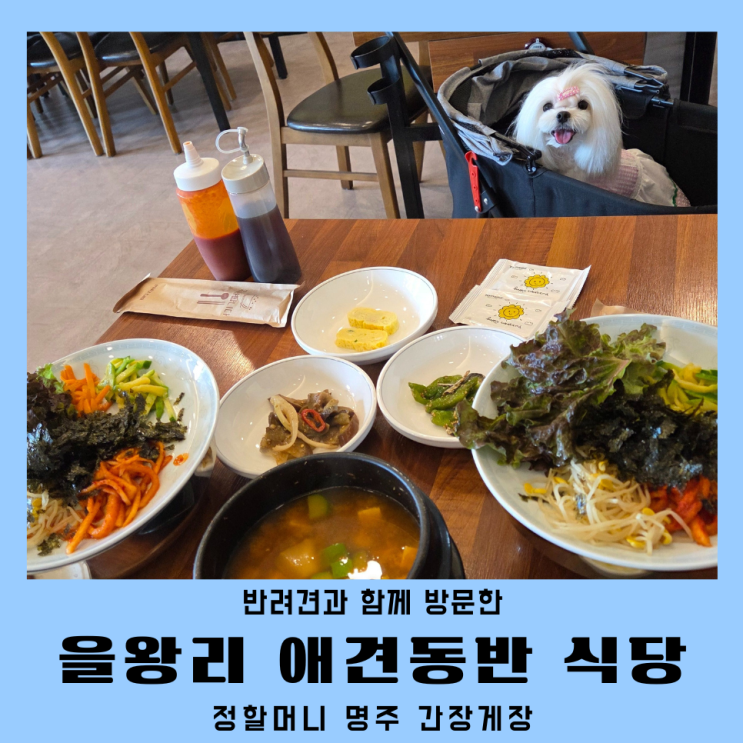  영종도 을왕리맛집 정할머니명주간장게장 실내애견동반 보리밥