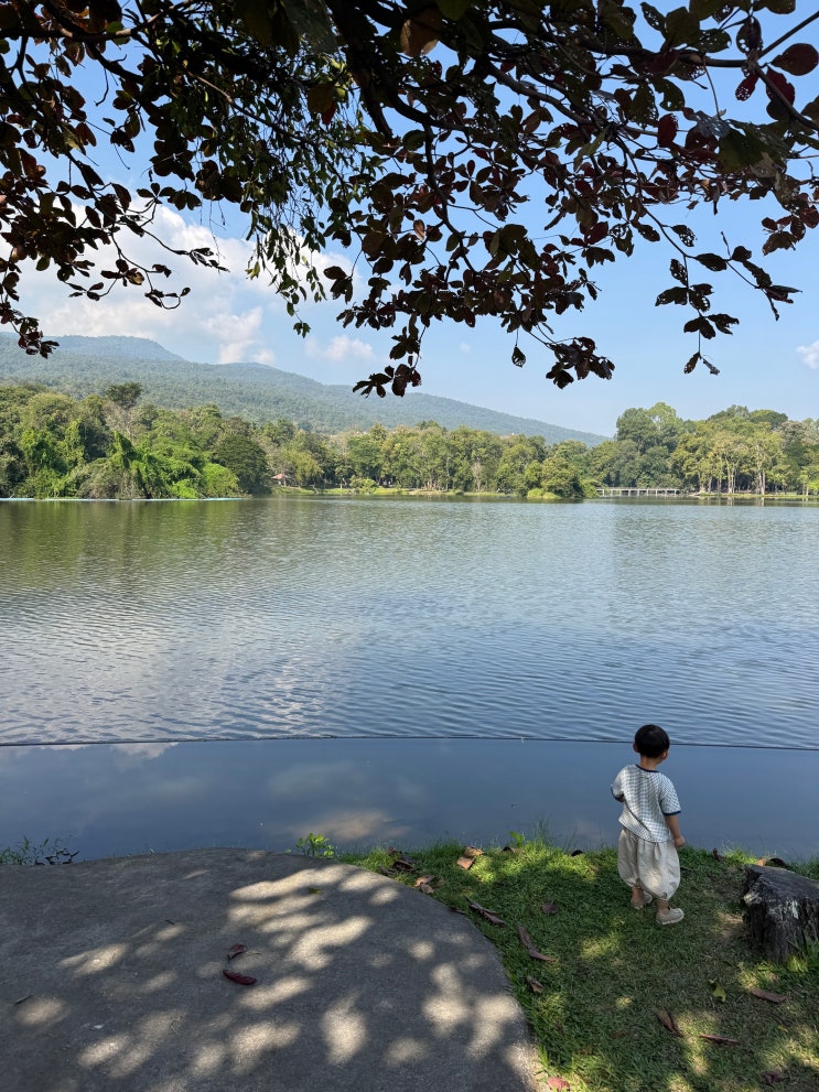  여유롭게 즐긴 치앙마이 대학, 도이수텝 사원, 마야몰 - DAY5.