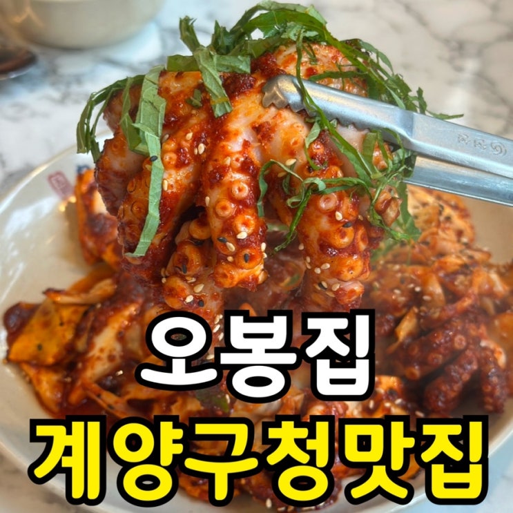  [계양구청 점심 할인 맛집] 오봉집 계산점 후기｜낙지볶음·보쌈·막국수 가성비 세트