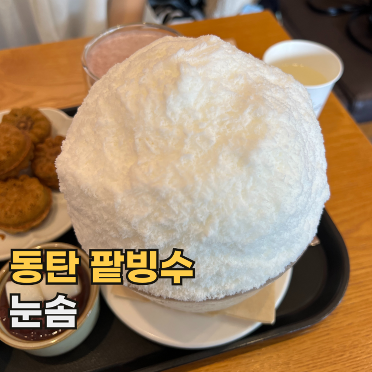  동탄 눈솜 여름엔 웨이팅 필수인 센트럴파크 팥빙수 카페