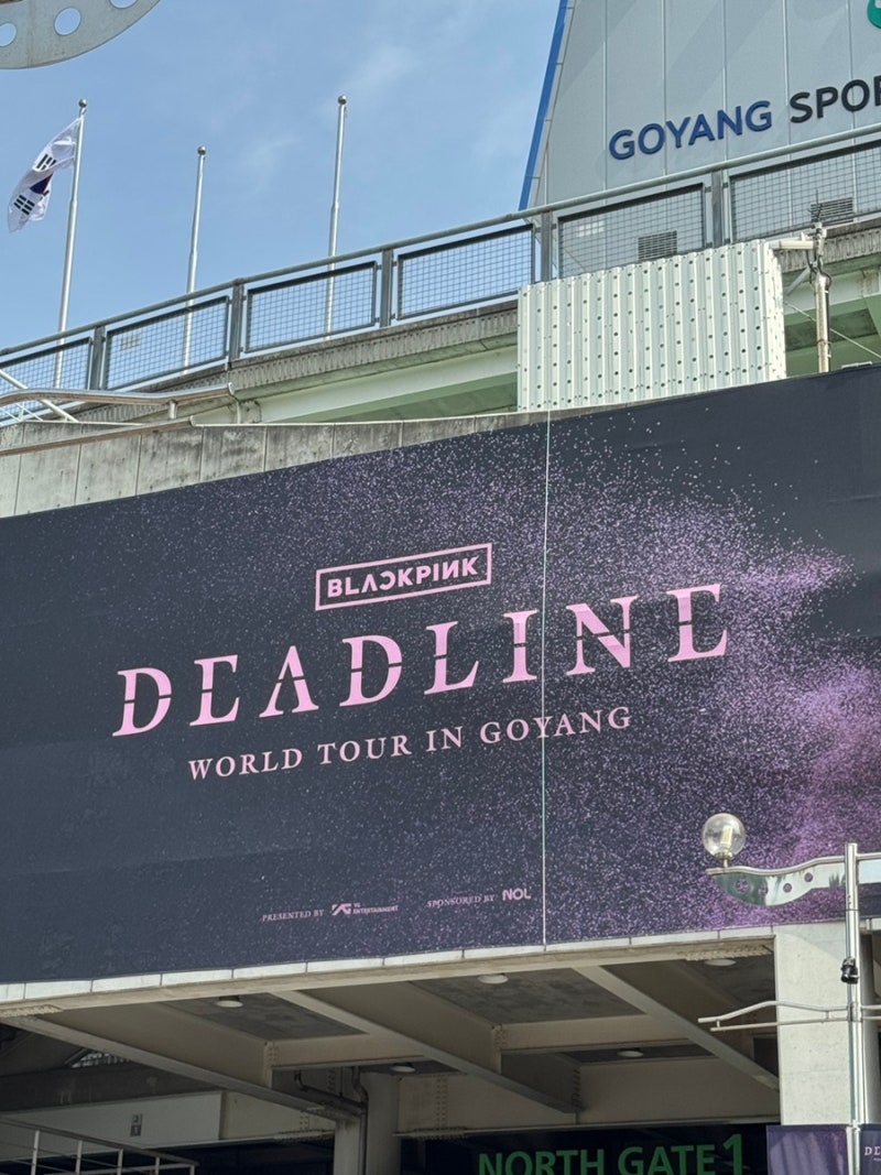 BLACKPINKワールドツアー、BLACKPINKデッドライン、高陽総合運動場座席からの眺め、コンサートレビュー