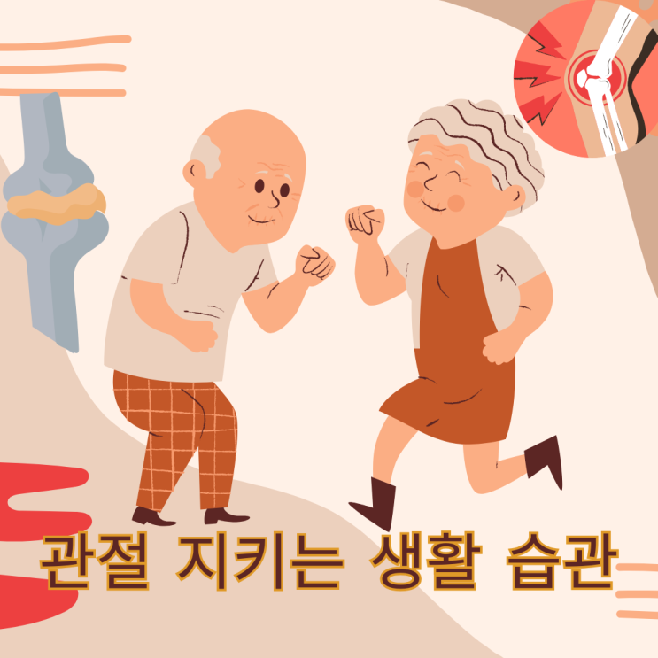  노년 건강의 핵심 관절 지키는 생활습관 TOP5