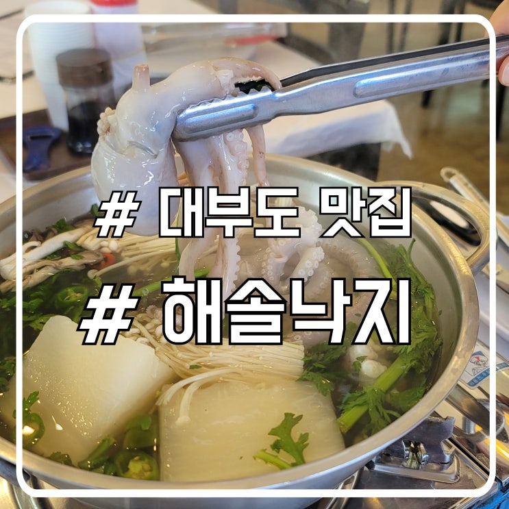  더헤븐CC 대부도 산낙지 맛집 놀라울 정도로 부드러운 해솔낙지