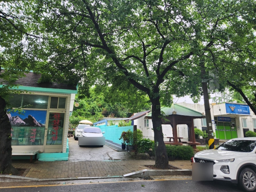 아몬드꽃 사진 2