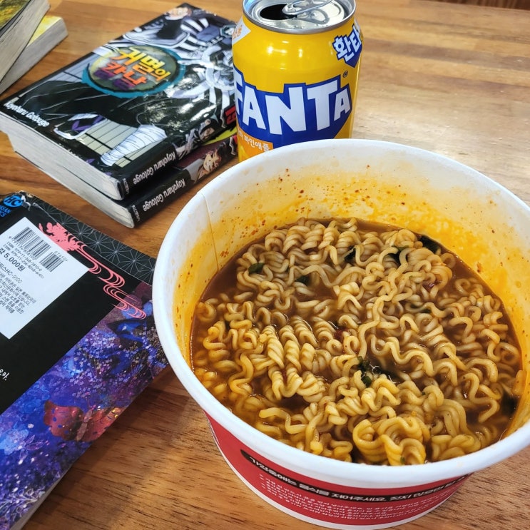  성남 복정동 무인 만화카페 독도 후기