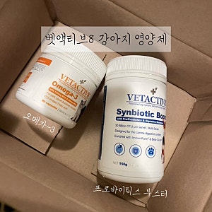 벳액티브8 신바이오틱 부스터 강아지유산균 /오메가3 강아지영양제 추천