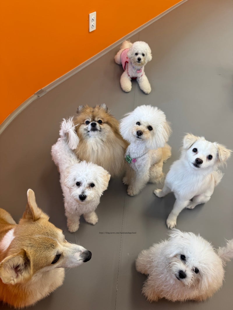 사진 6