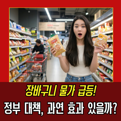  가공식품가격인상 정부 대응 전략 공개! 가격 인상률 최소화 방안