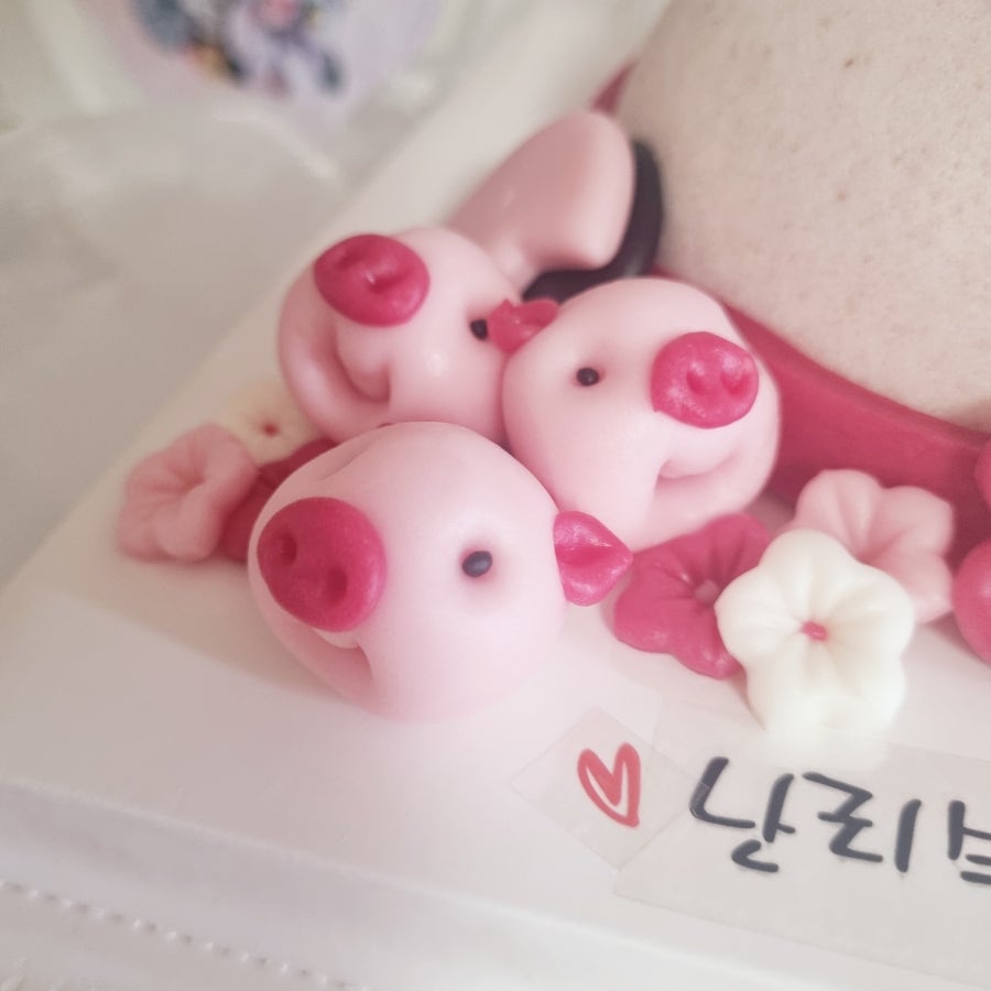 사탕시루 사진 4