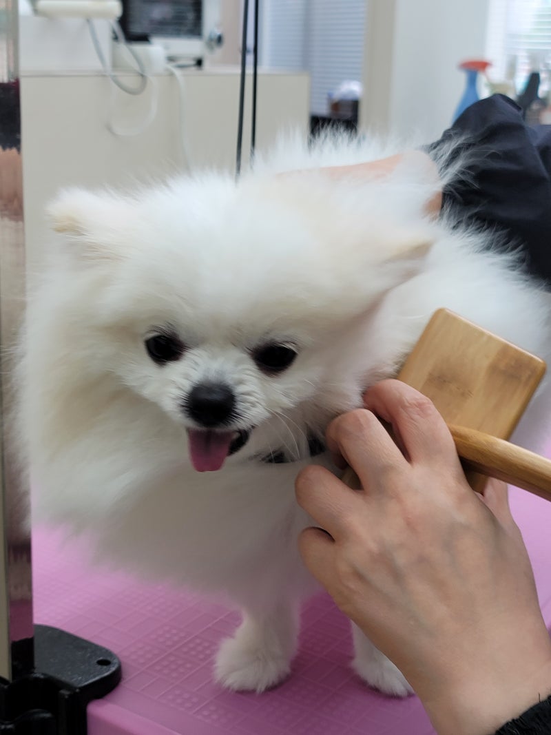 사진 4