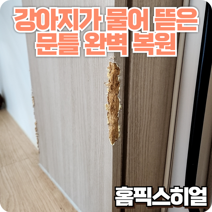  뜯어진 문틀 복구작업 강아지가 망쳐놓은 문틀을 새것처럼 복원한 사례