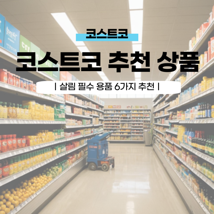  코스트코 살림 추천 상품 6가지