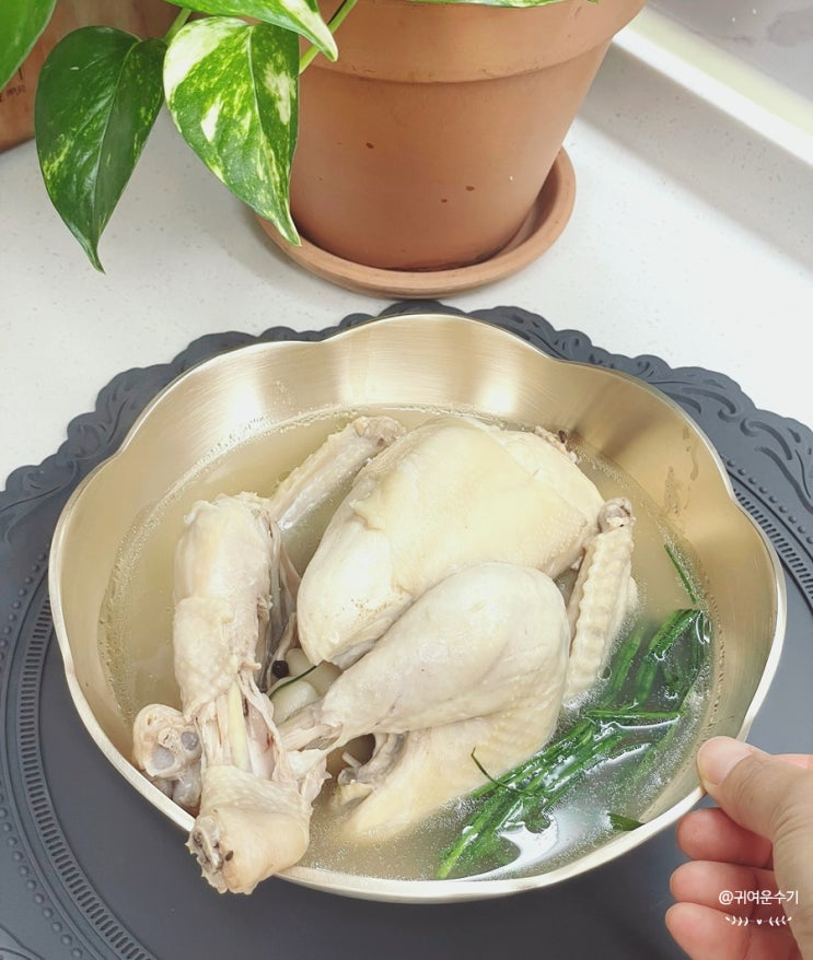  영계백숙 끓이는법 삼계탕 레시피 맛있게 끓이는시간 복날 초복음식