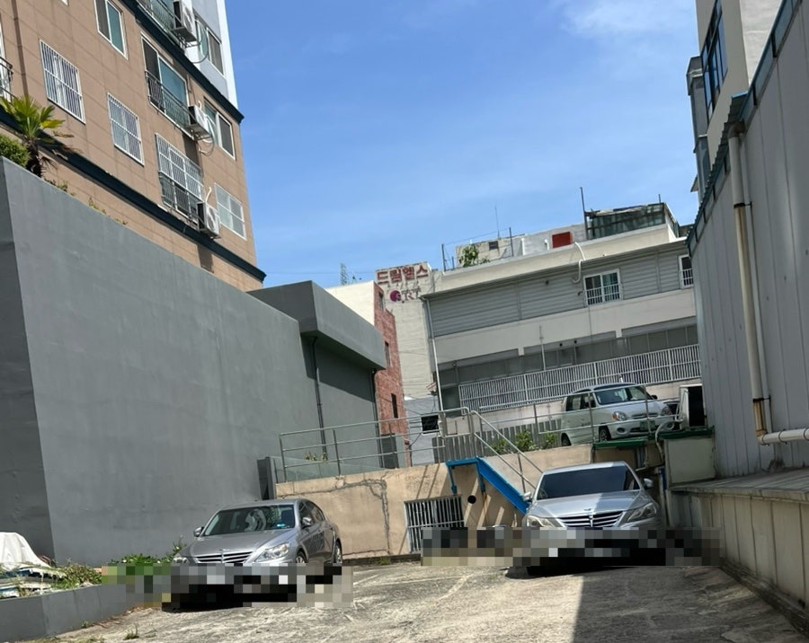 조은날 사진 5