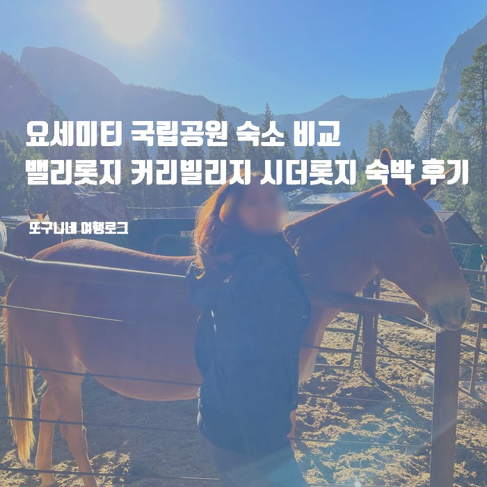 요세미티 국립공원 숙소 추천! 밸리롯지 커리빌리지 시더롯지 숙박 비교 후기, 위치, 예약 방법