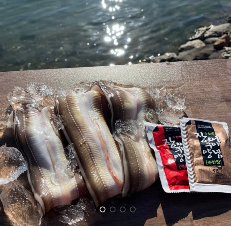  #광고 자연산 통영 손질 바다장어 1kg 1~3미 국내산 아나고 붕장어