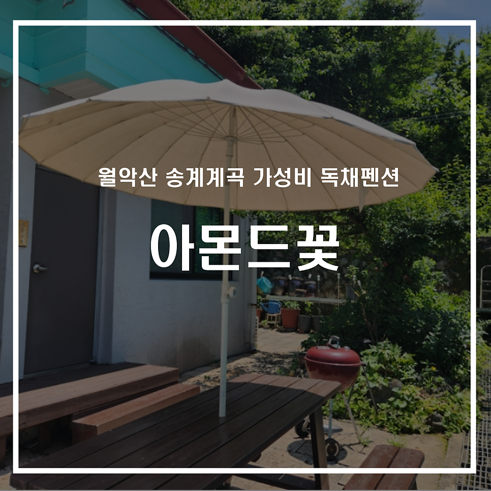아몬드꽃 사진 1