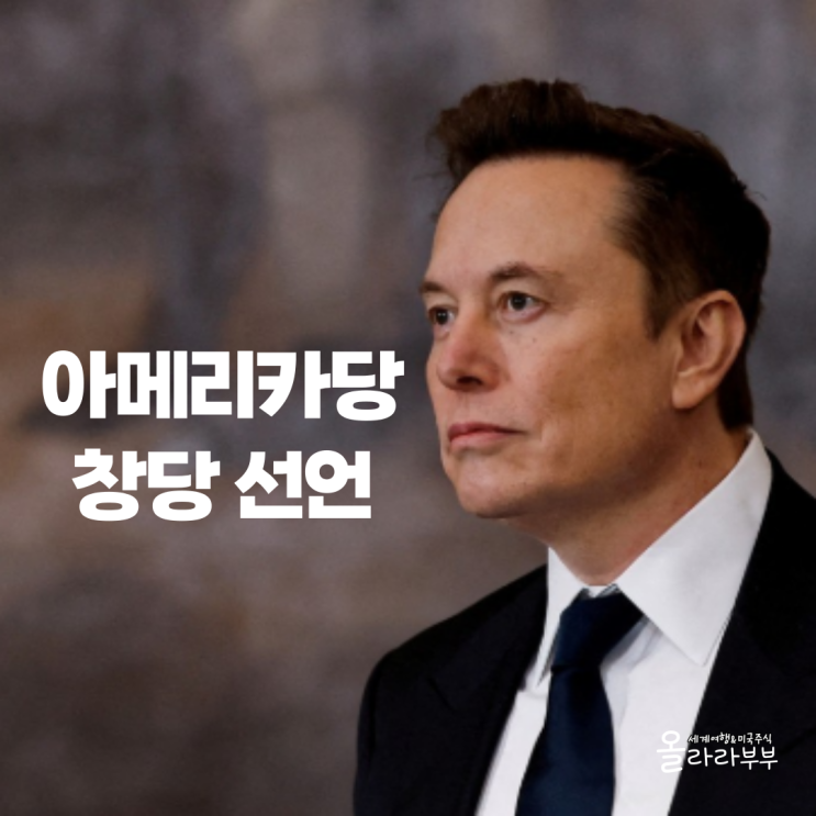  테슬라 일론 머스크 아메리카당 창당 선언