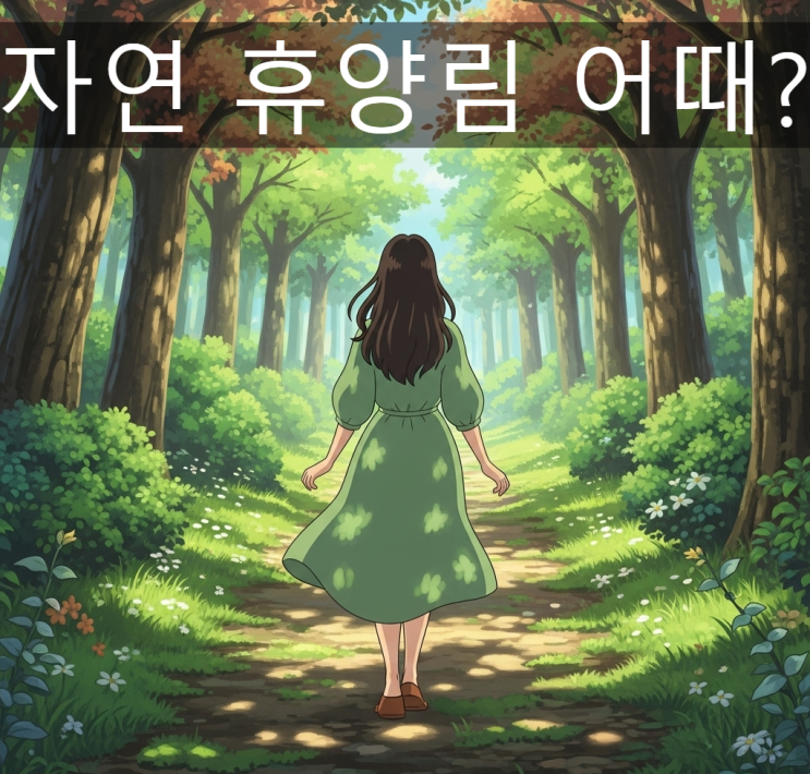  여름휴가 어디로 가지? 계곡 풍덩, 쉼 한모금…'자연휴양림' 어때?, 산림청 추천 숲 휴양지!