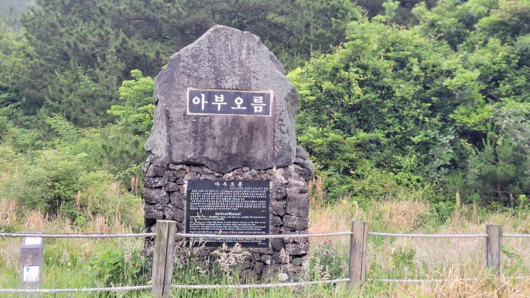  [제주 서귀포] 온 가족 제주여행 - 아부오름, 10분만에 올라서 본 안개 속 굼부리