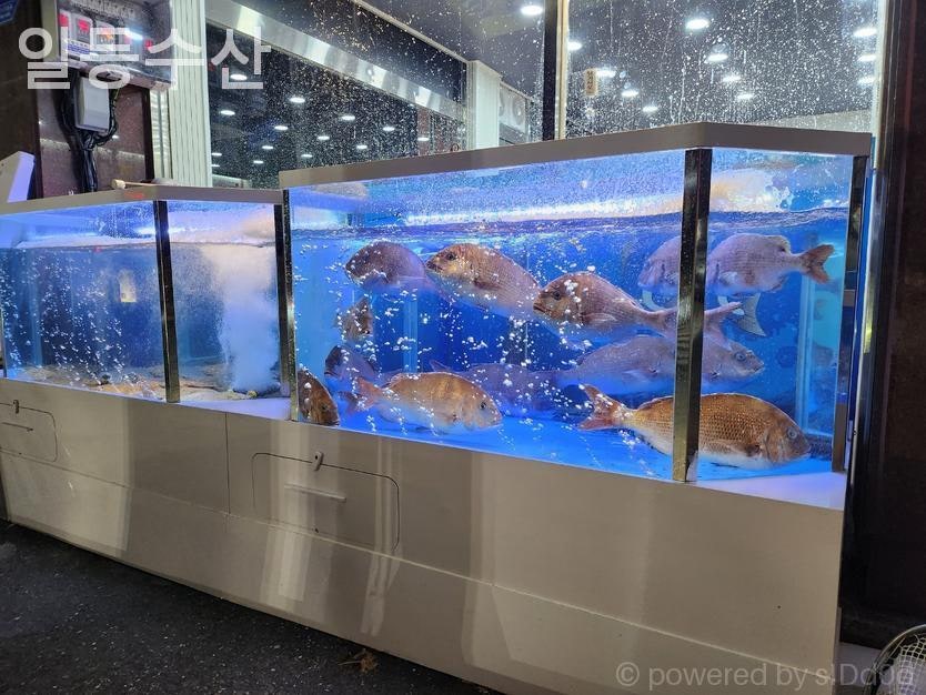 일등수산 사진 3