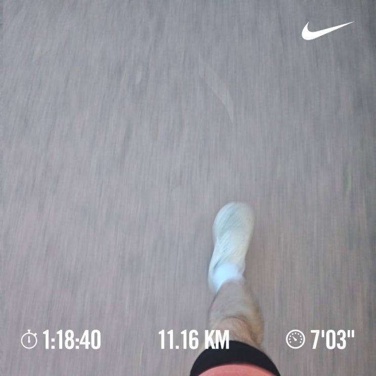 매일 10km 러닝 달리기 챌린지 1427일 차