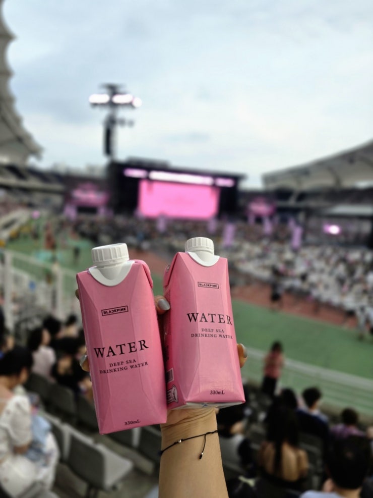2025 BLACKPINK回歸新歌搶先公開：高陽演唱會心得 (N區視野、停車、歌單)