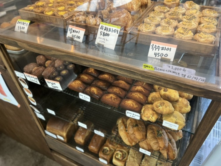  [정림동][애견동반] 대전파이맛집 명지제과/ 밤파이, 소금빵